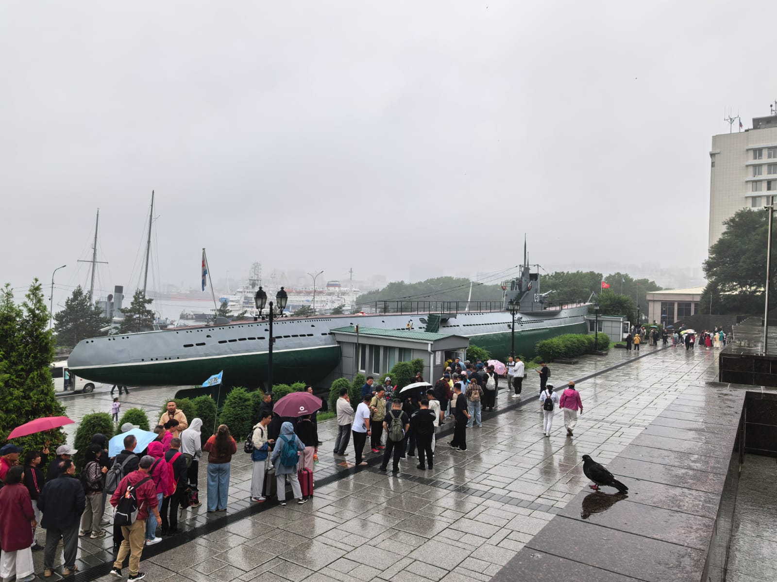 Jejak Langkah di Vladivostok: Dari Keterasingan Teknologi hingga Ingatan Sejarah