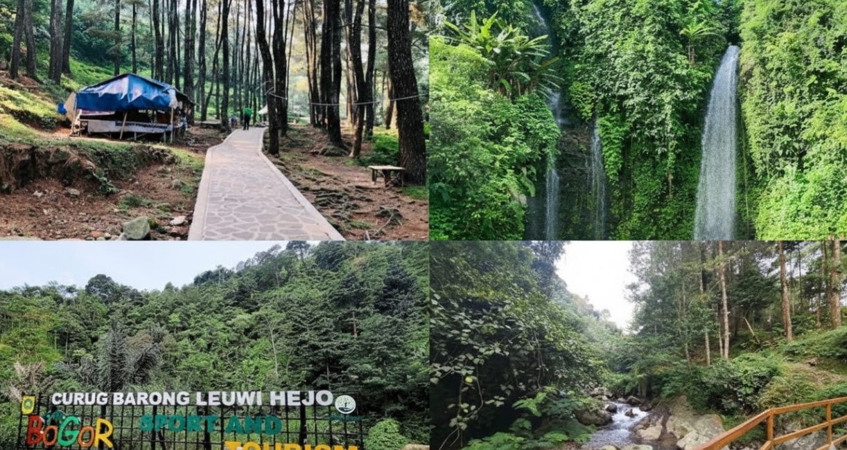 Nikmati Kesegaran Alam! Ini Dia 5 Curug Terindah di Bogor yang Wajib Dikunjungi