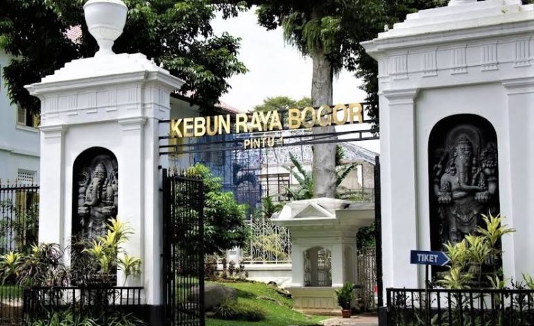 5 Spot Foto Tercantik di Kebun Raya Bogor yang Selalu Bikin Feed Instagram Estetik
