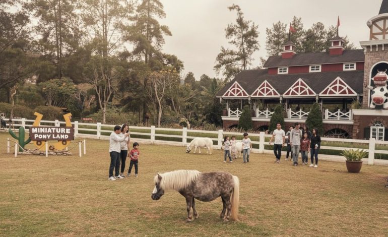 Sehari Tenang di Dairyland Cimory, Tempat LDR Menjadi Lebih Dekat
