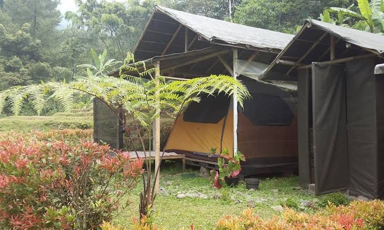 Tidur di Tengah Hutan Tapi Nyaman Seperti Hotel? Ini Dia Glamping Favorit di Bogor