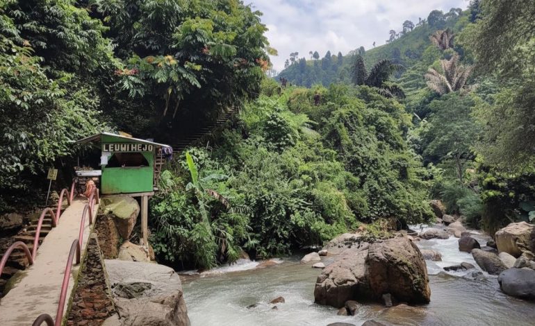Udara Segar dan View Menenangkan? Ini Deretan Wisata Alam Tersembunyi di Bogor