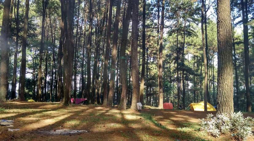 Ketika Keluarga Sibuk Butuh Ruang Tenang, Gunung Pancar Jadi Tempat Bertemu Lagi