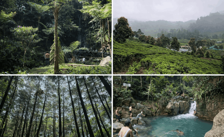 5 Rekomendasi Wisata Alam Bogor untuk Liburan Lebaran yang Sejuk dan Menenangkan
