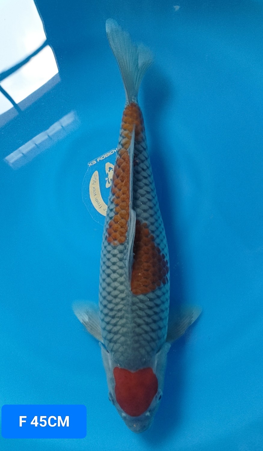 Juara 2