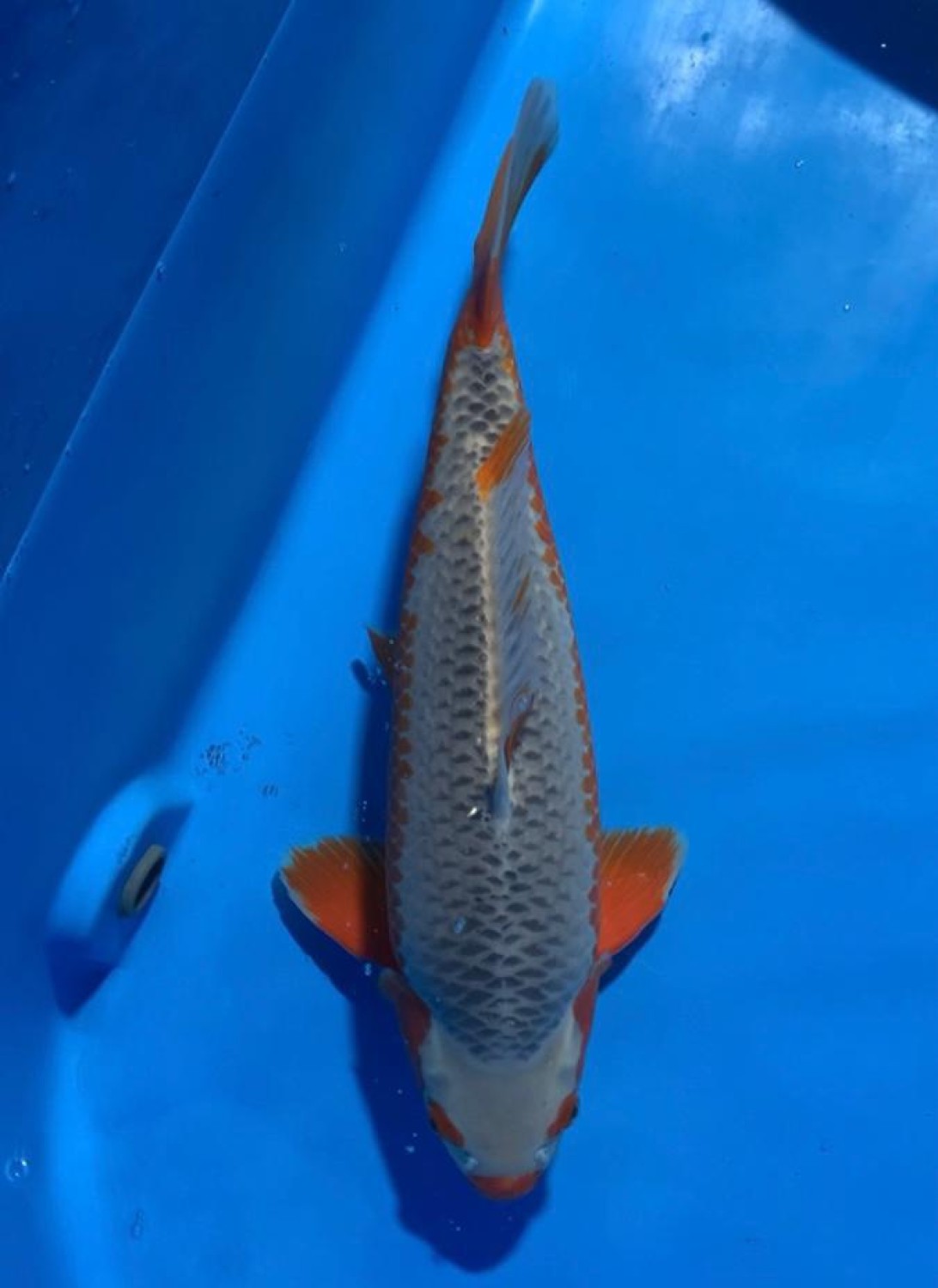 Juara 2