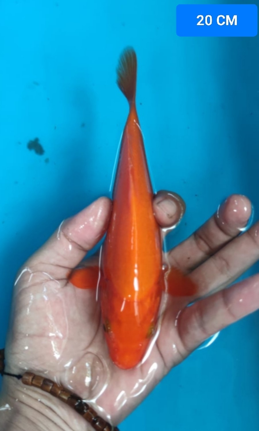 Juara 2