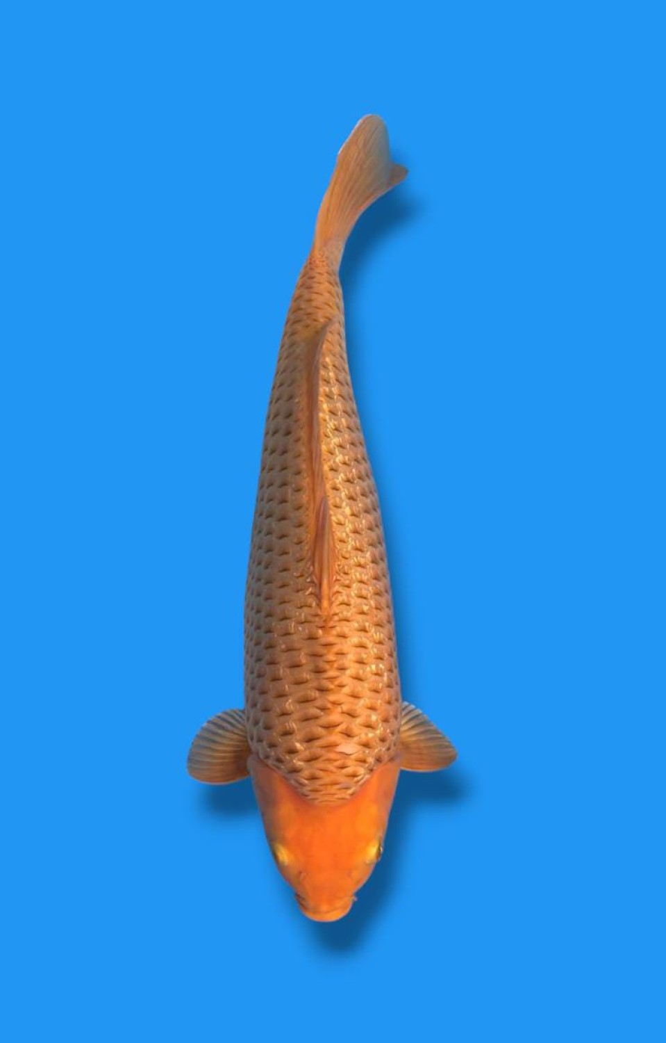 Juara 4