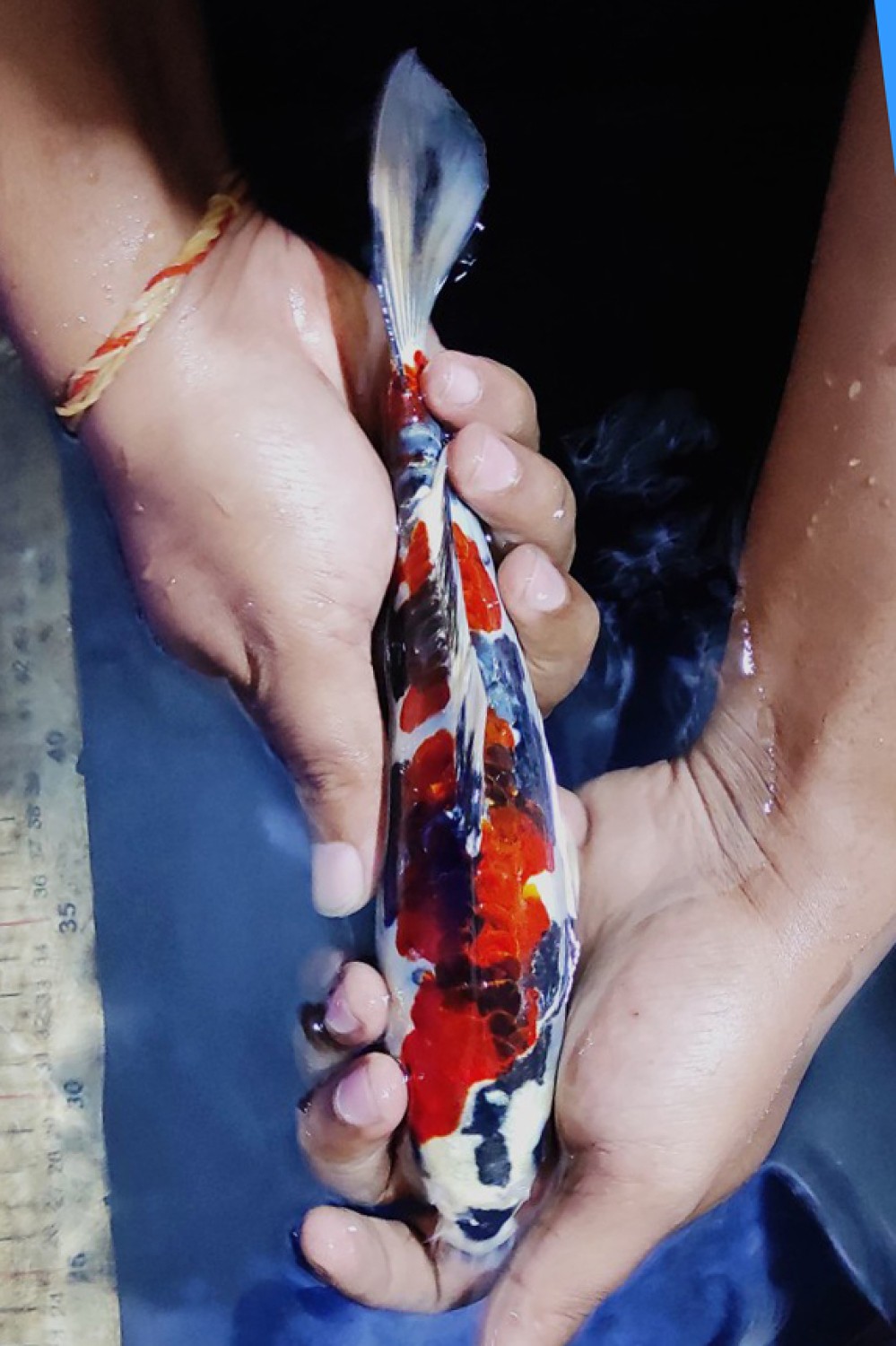Juara 1