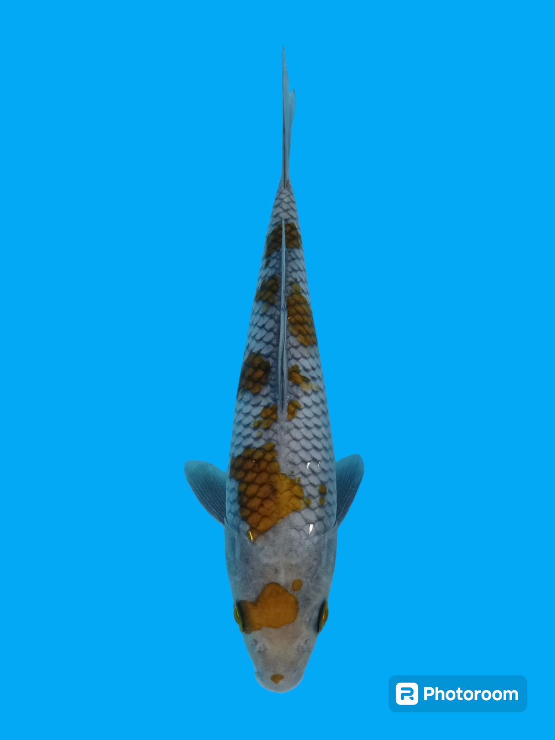 Juara 2