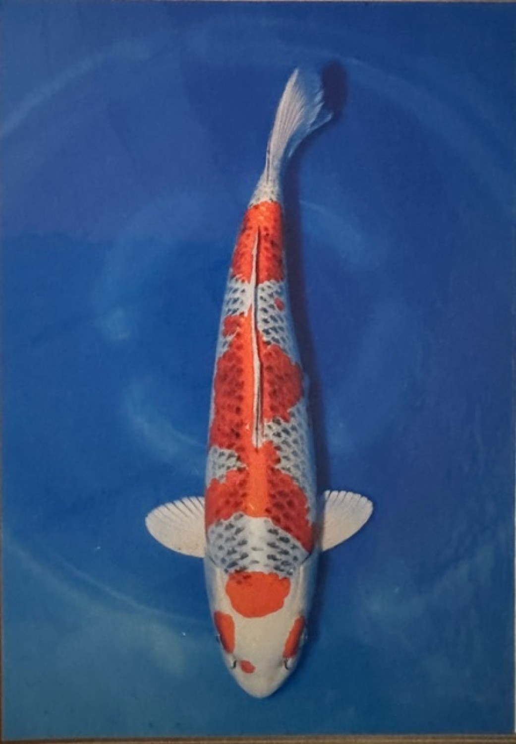 Juara 2