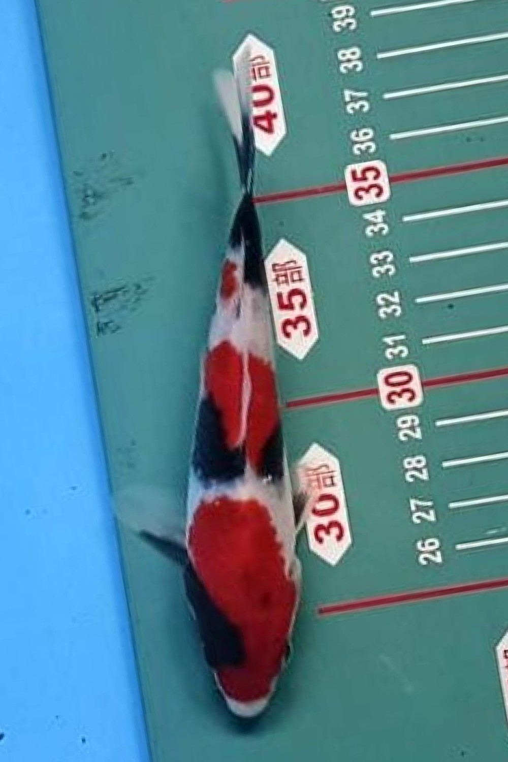 Juara 2