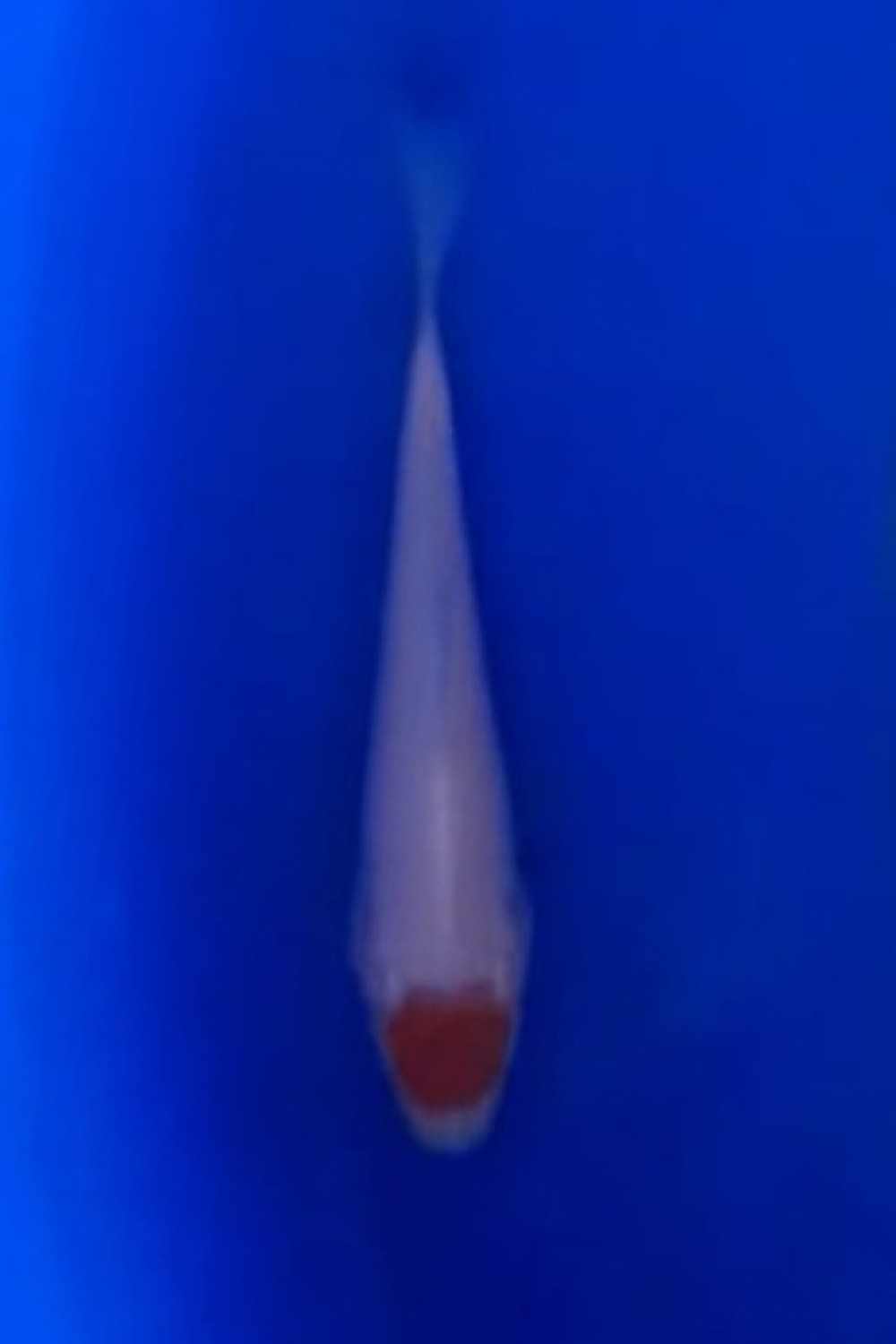 Juara 5