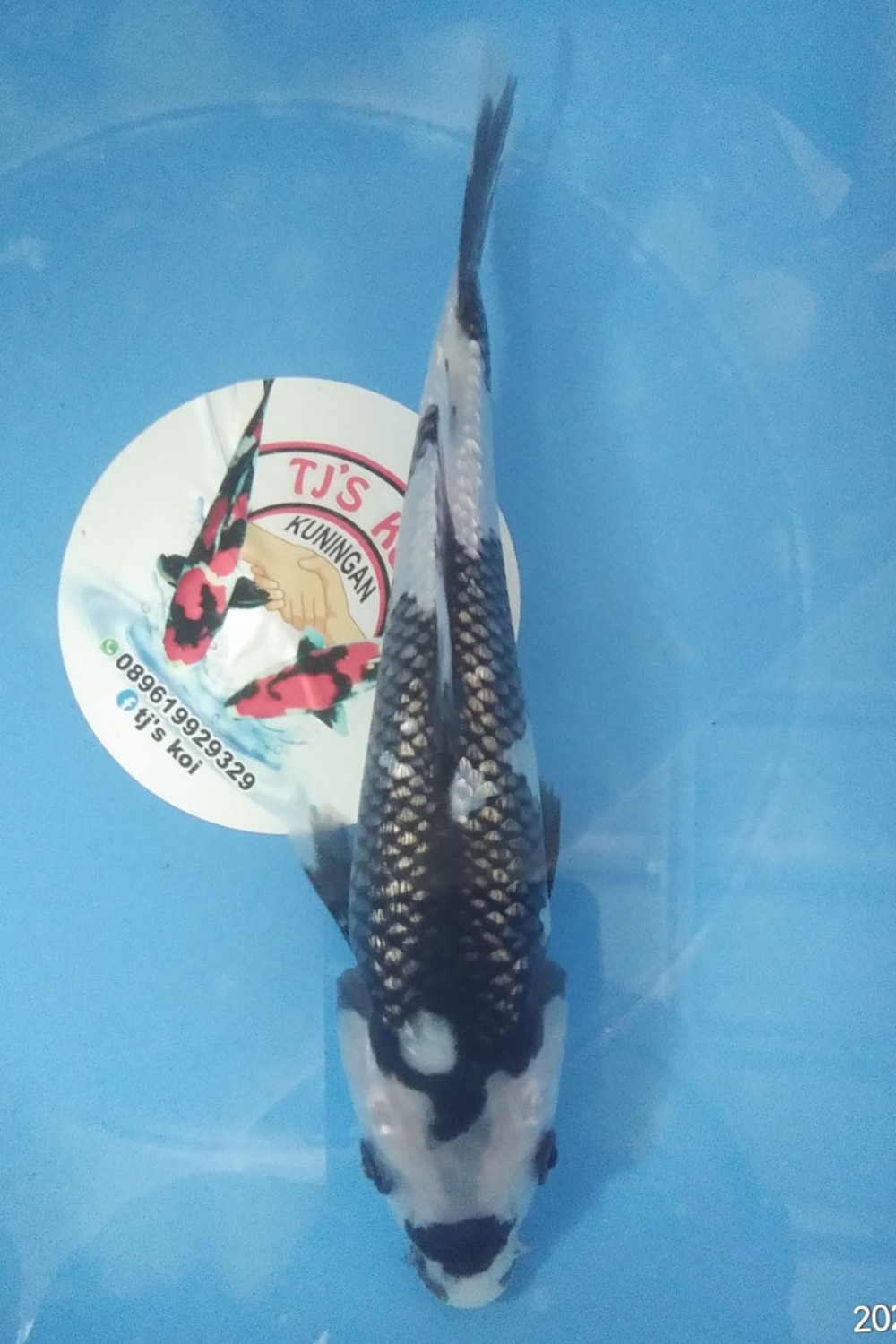 Juara 4