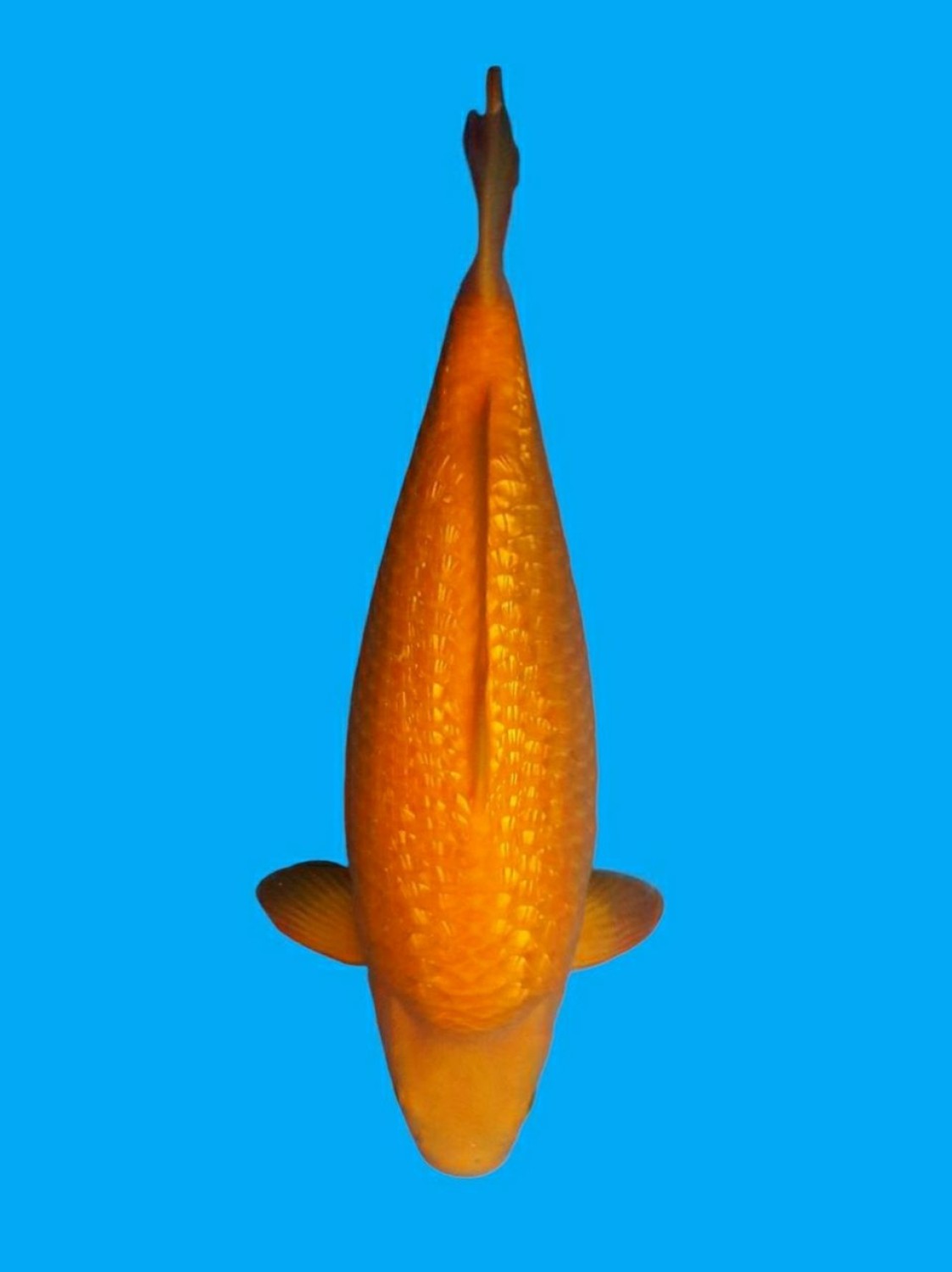 Best In Size E 41 - 45 cm