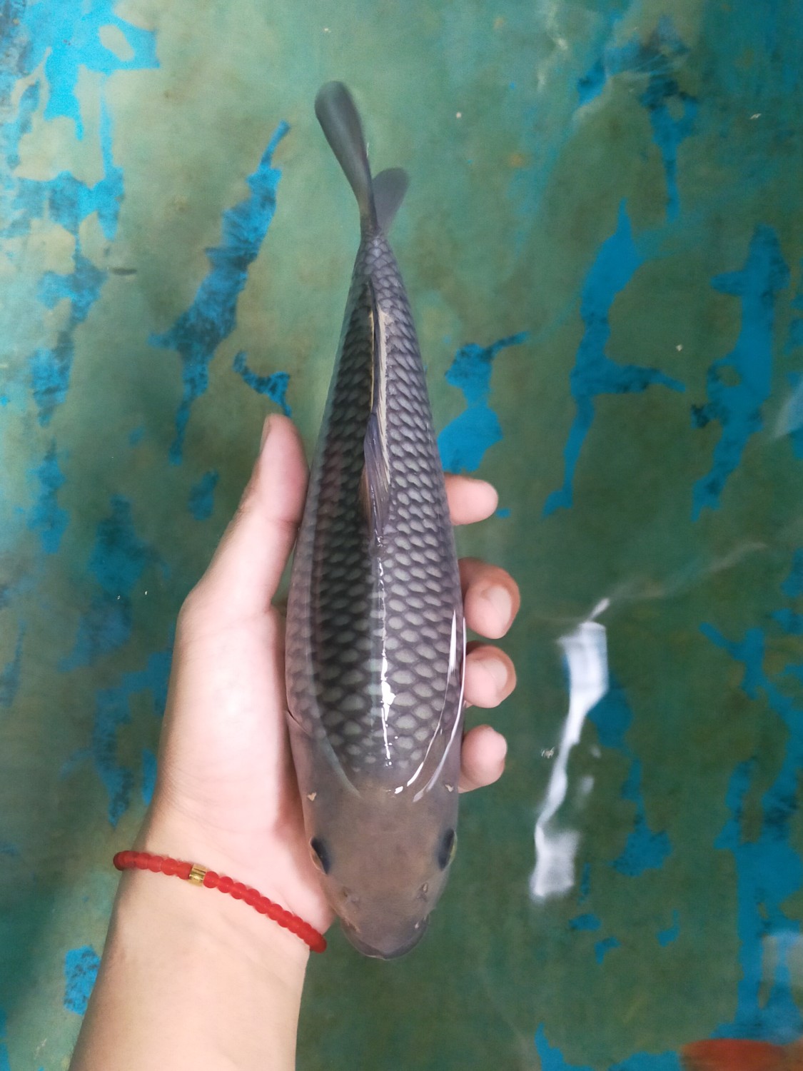 Juara 2
