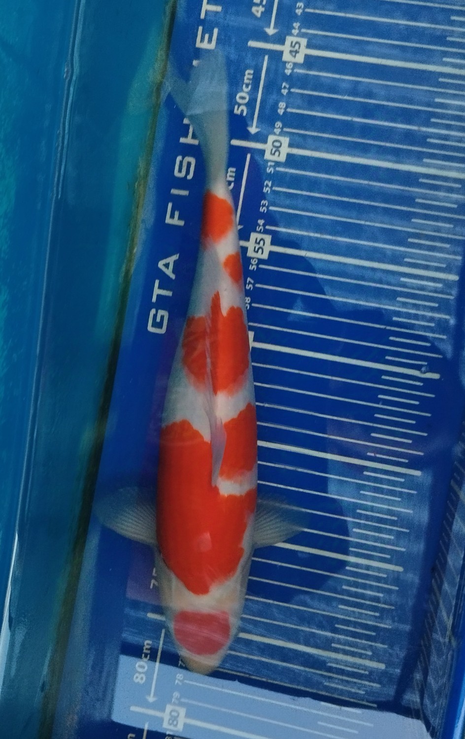 Juara 1