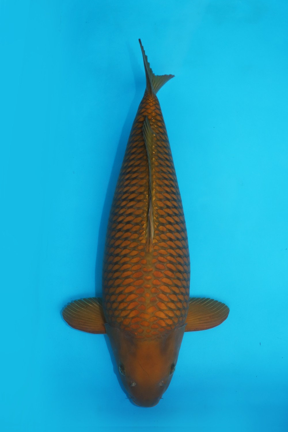 Juara 2