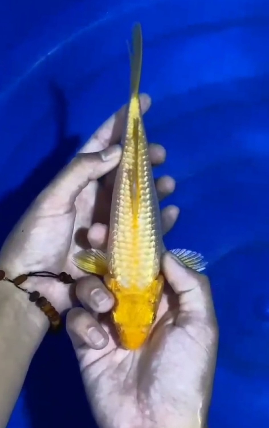 Juara 3