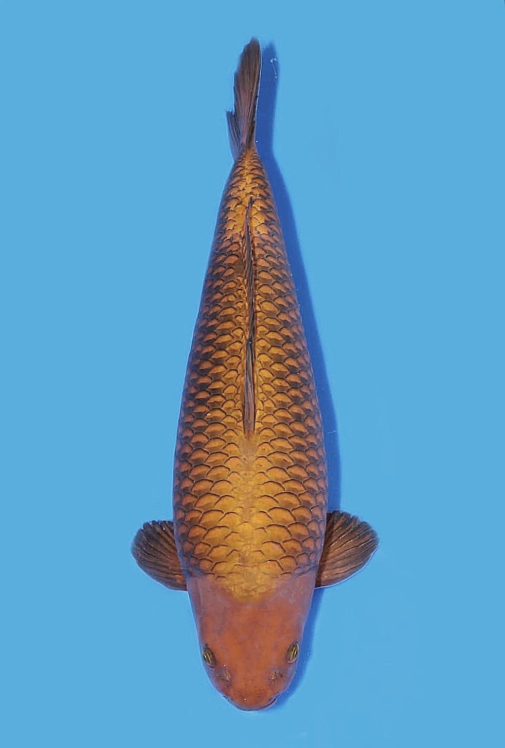 Juara 2