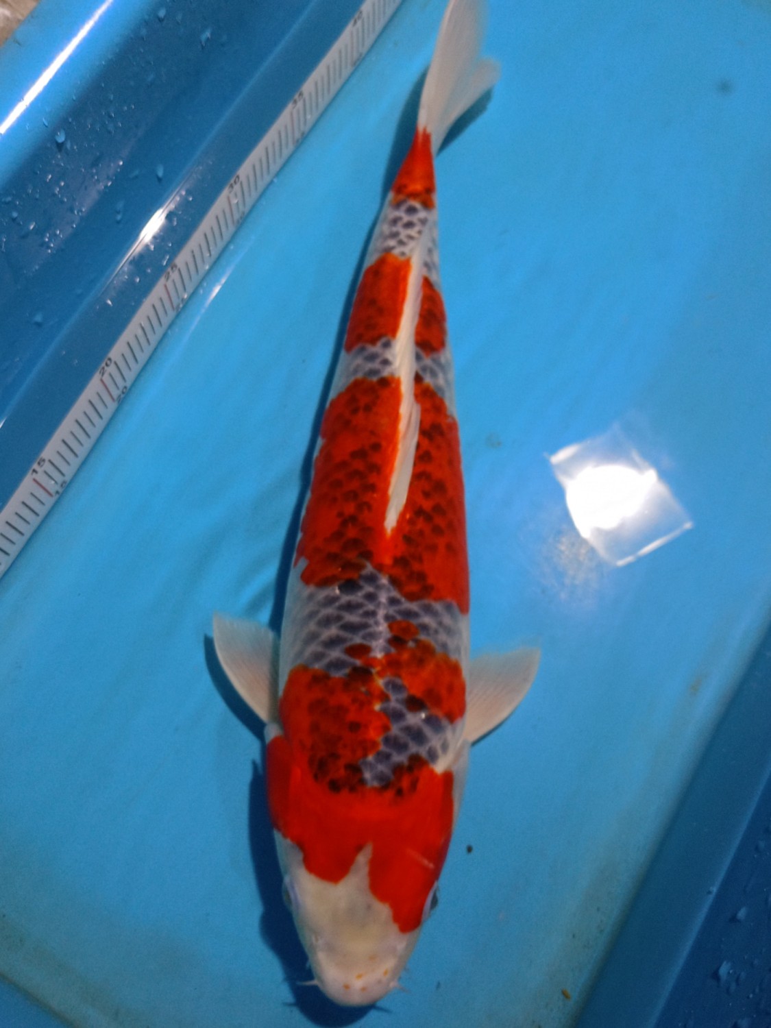 Juara 2