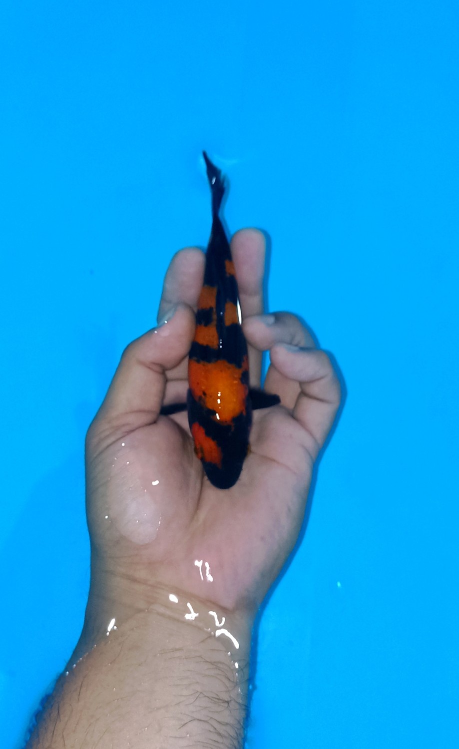 Juara 2