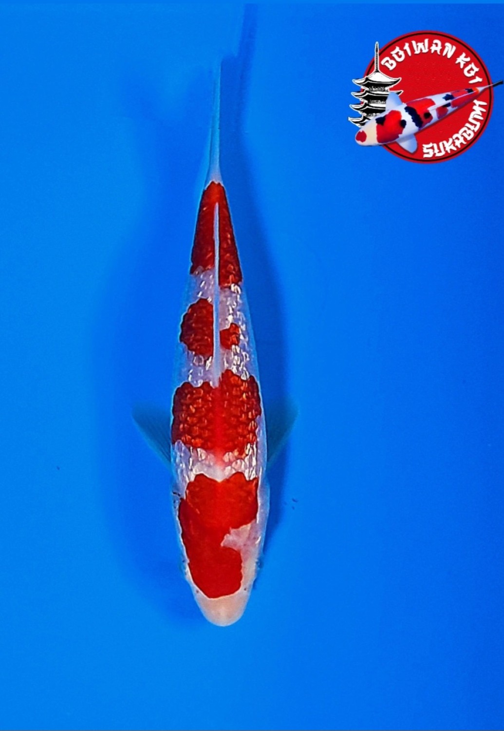 Juara 2