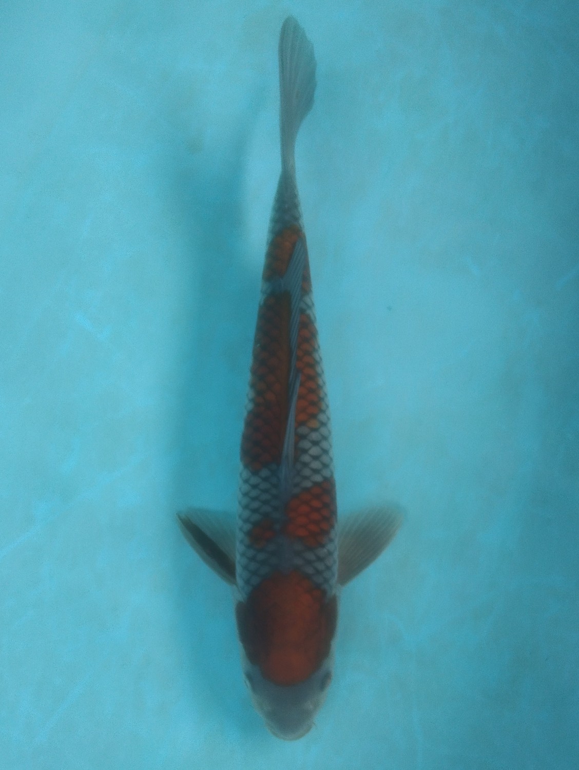 Juara 2