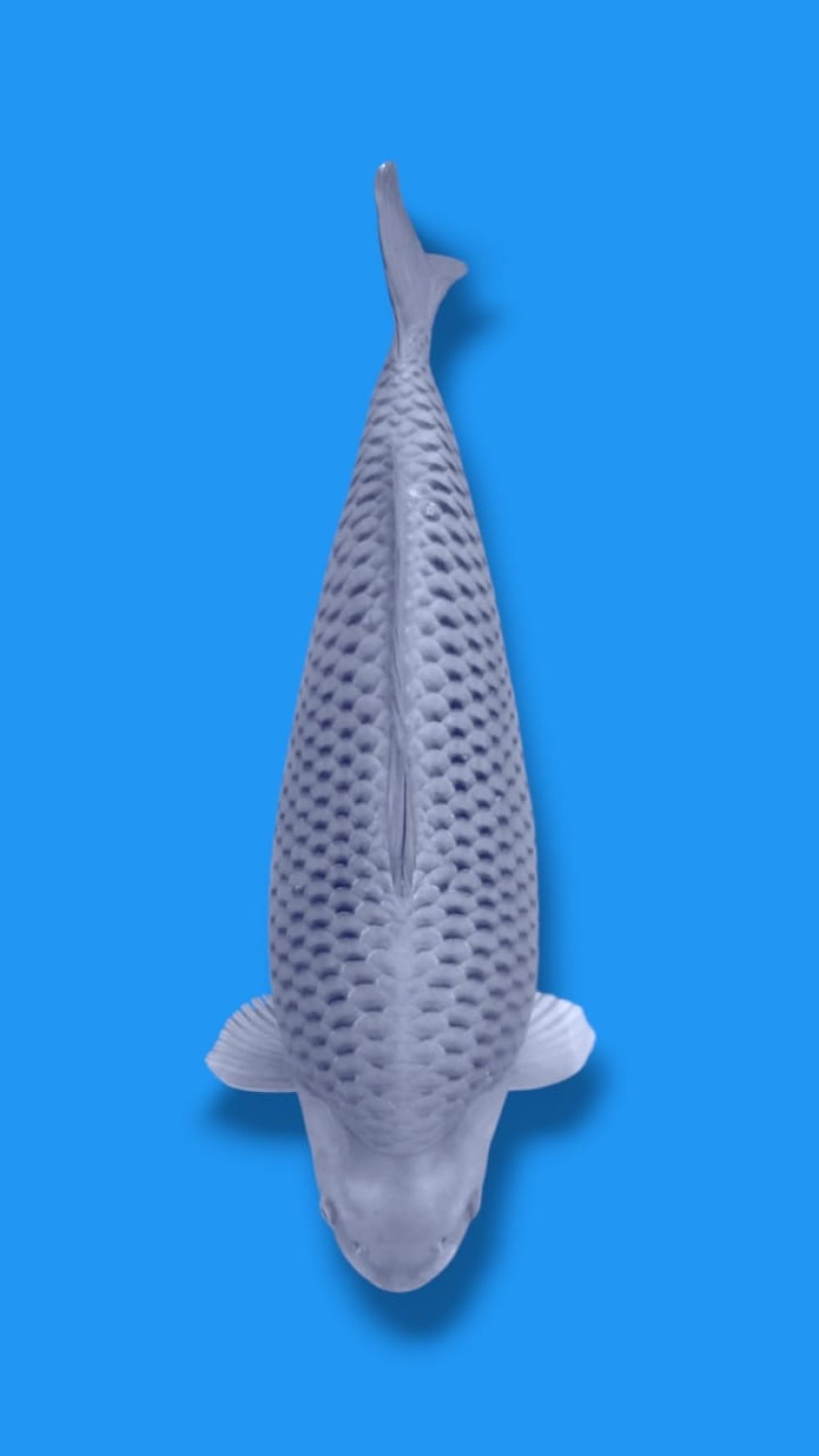 Juara 1