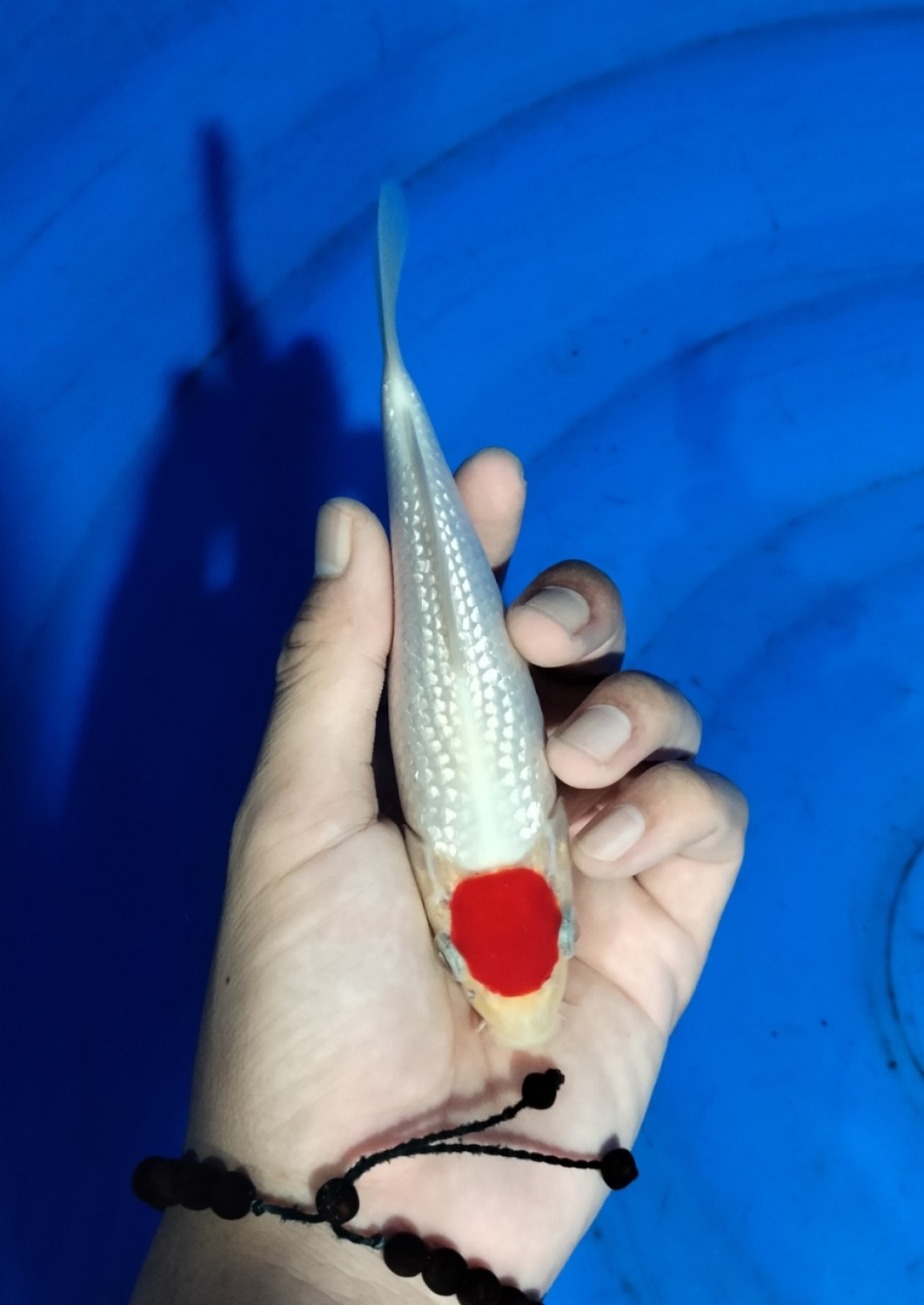 Juara 2