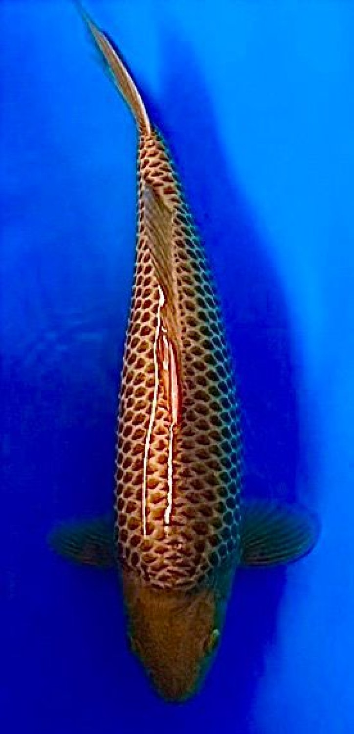 Juara 4