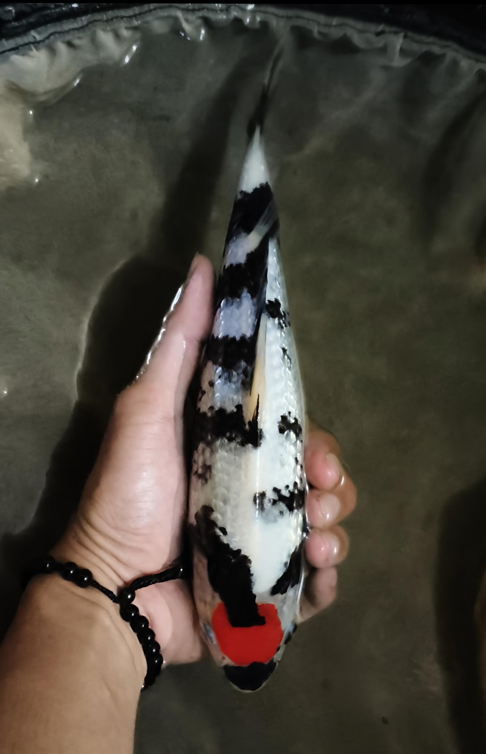 Juara 1