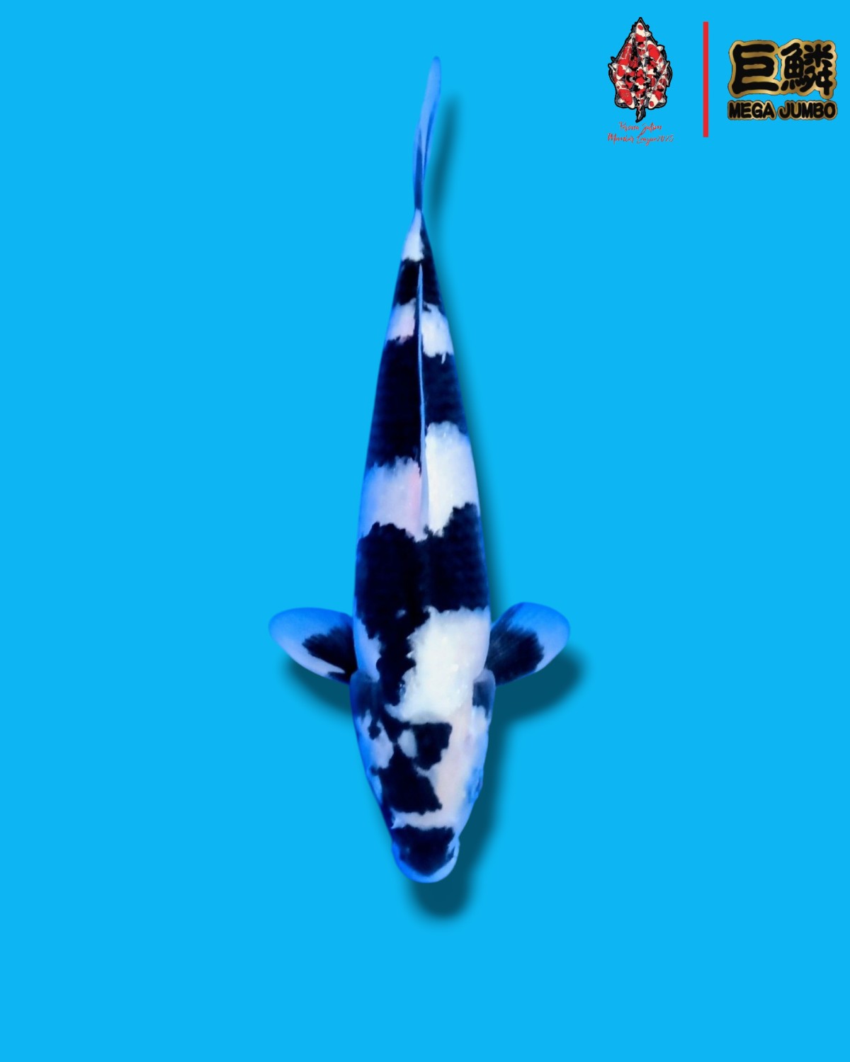 Juara 2