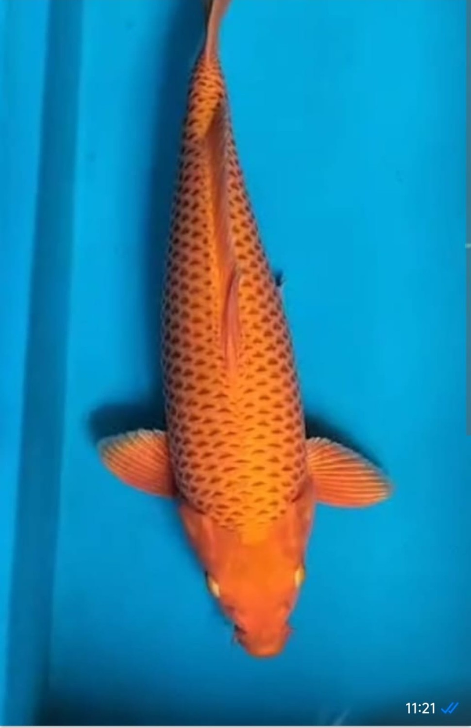 Juara 2