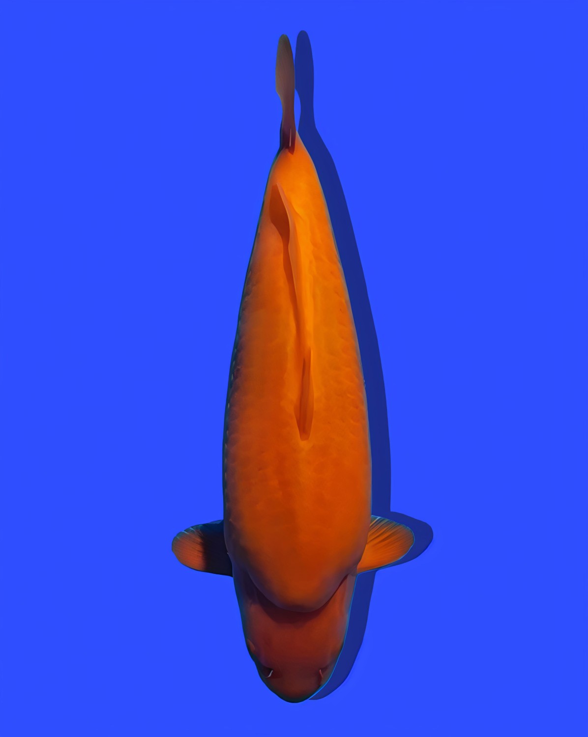 Juara 1