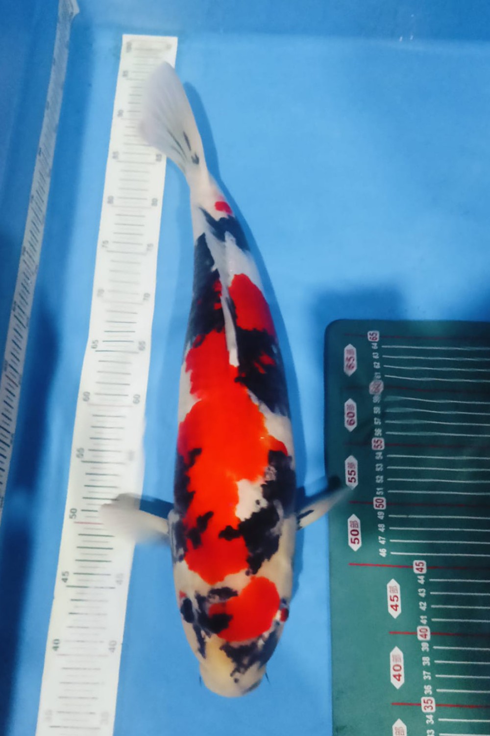 Juara 2