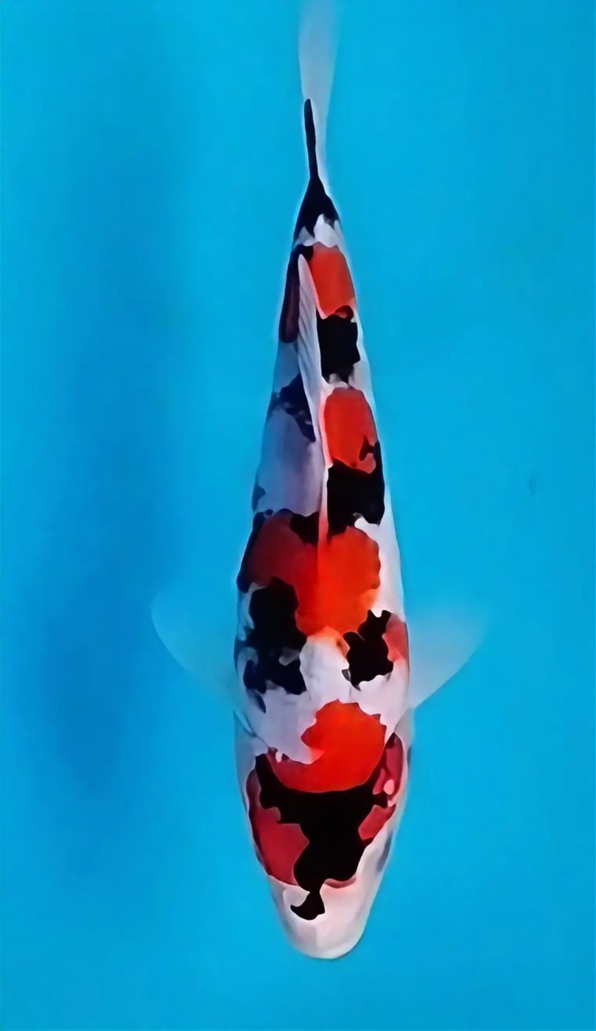 Juara 4