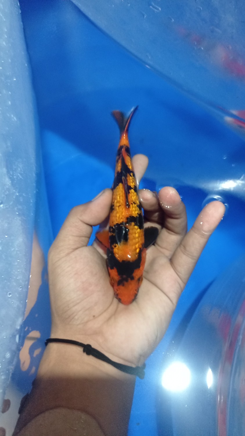 Juara 2