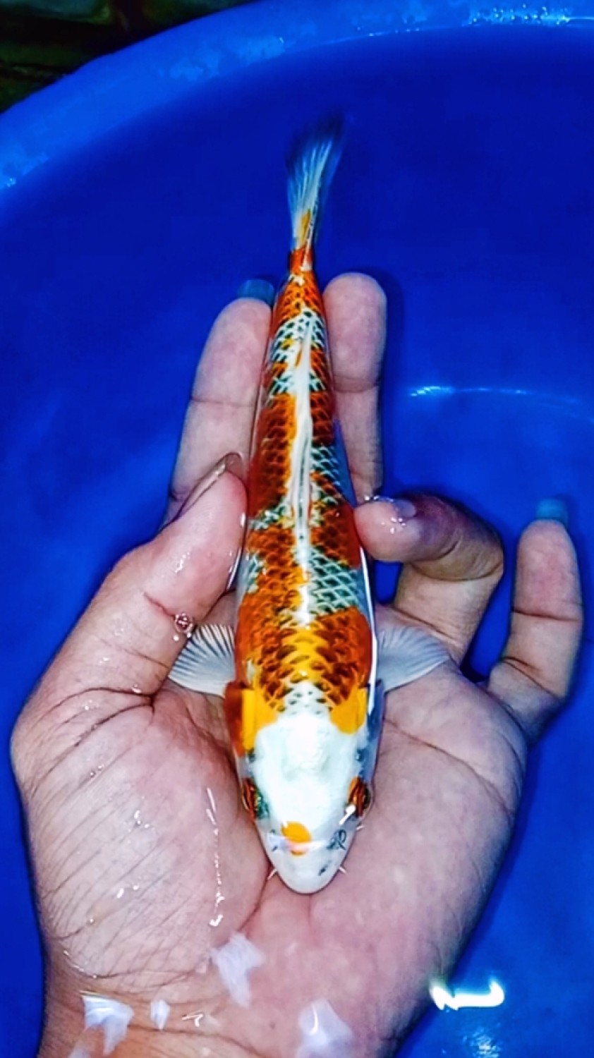Juara 2