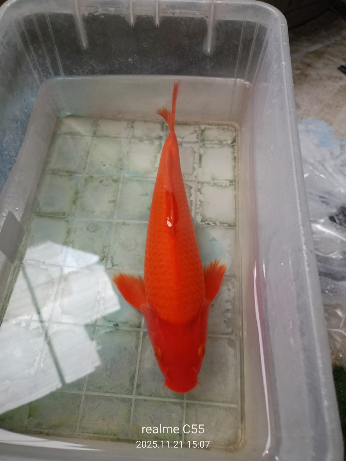 Juara 4
