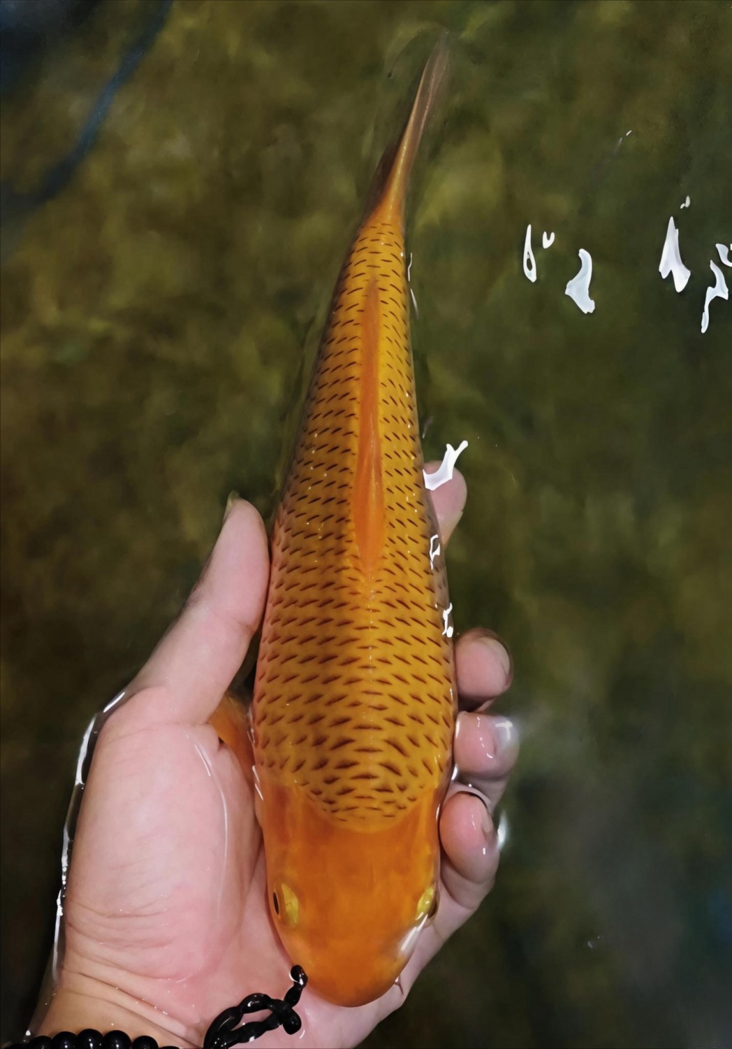 Juara 1