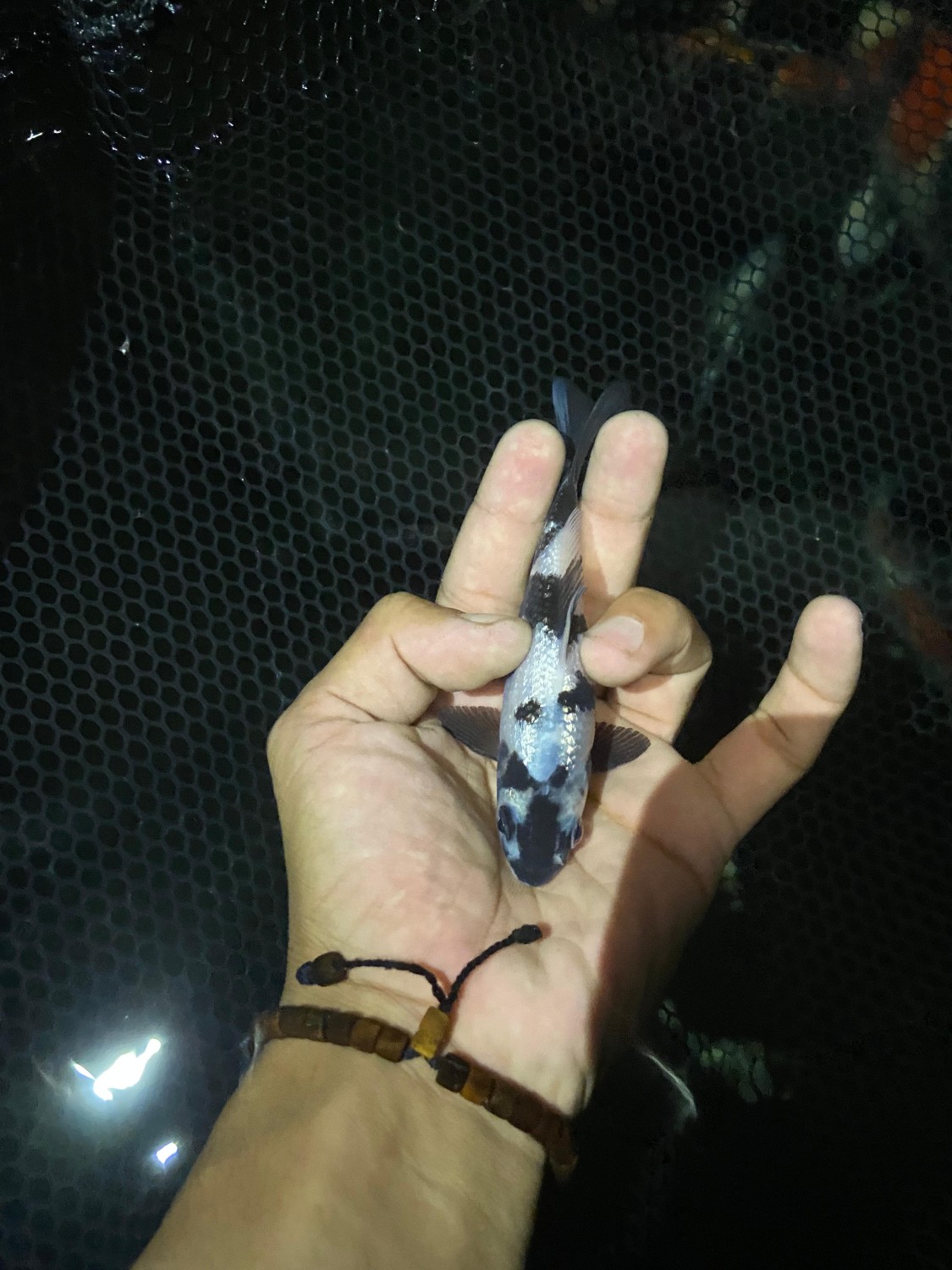 Juara 2