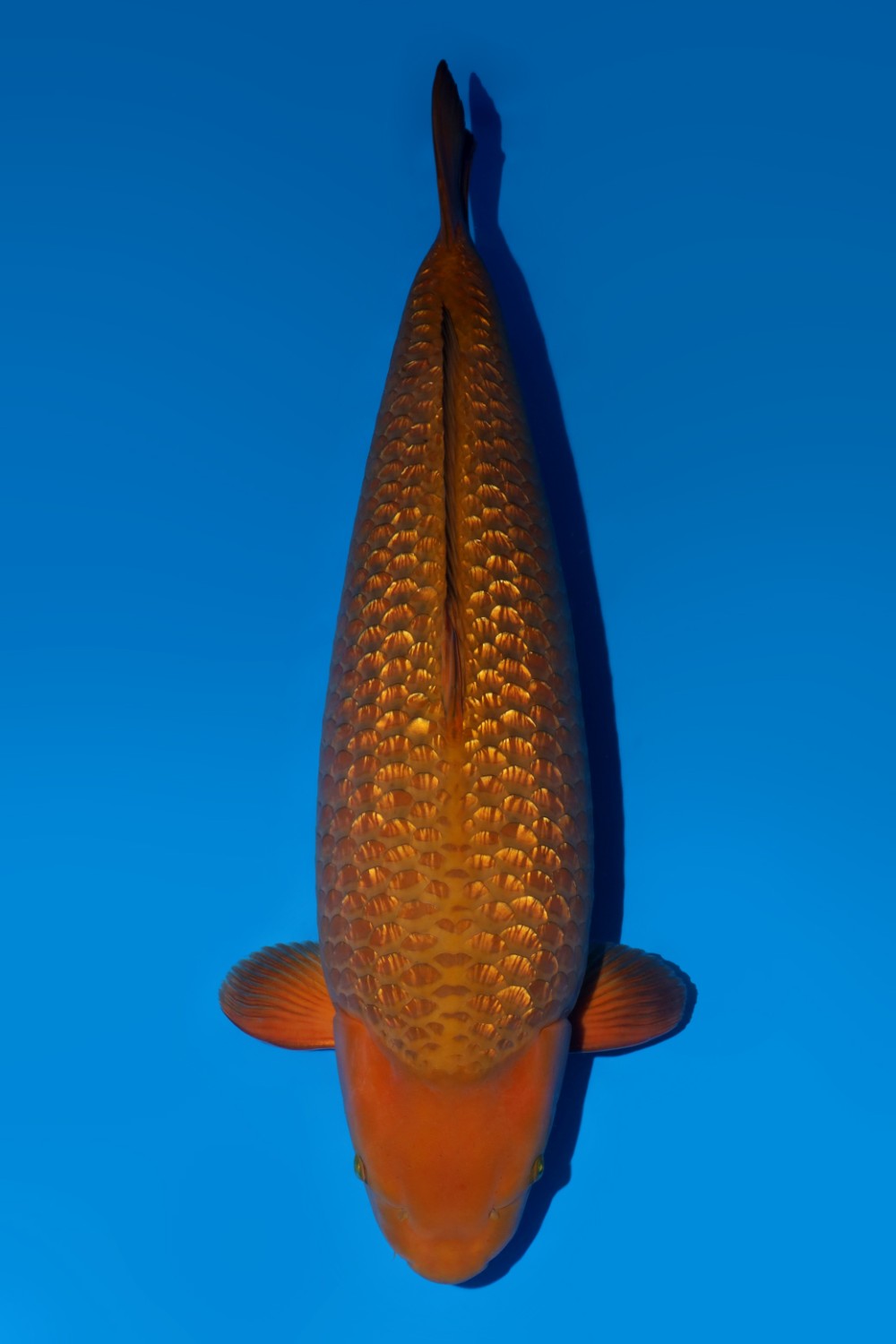 Juara 2