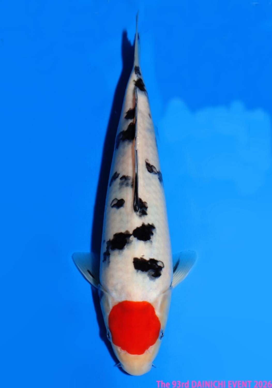 Juara 2