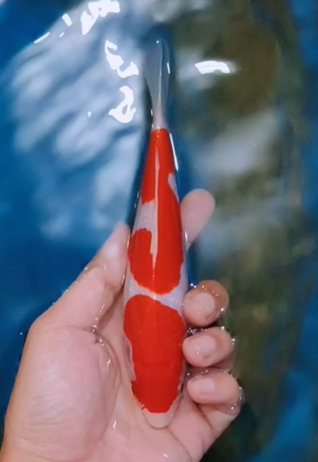Juara 2