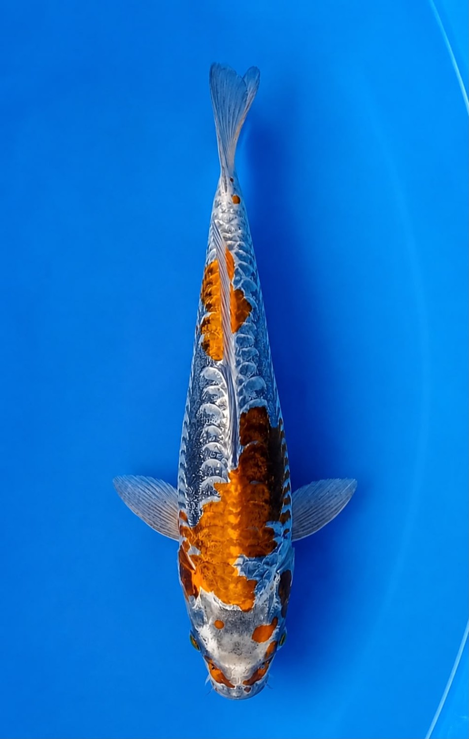 Juara 2