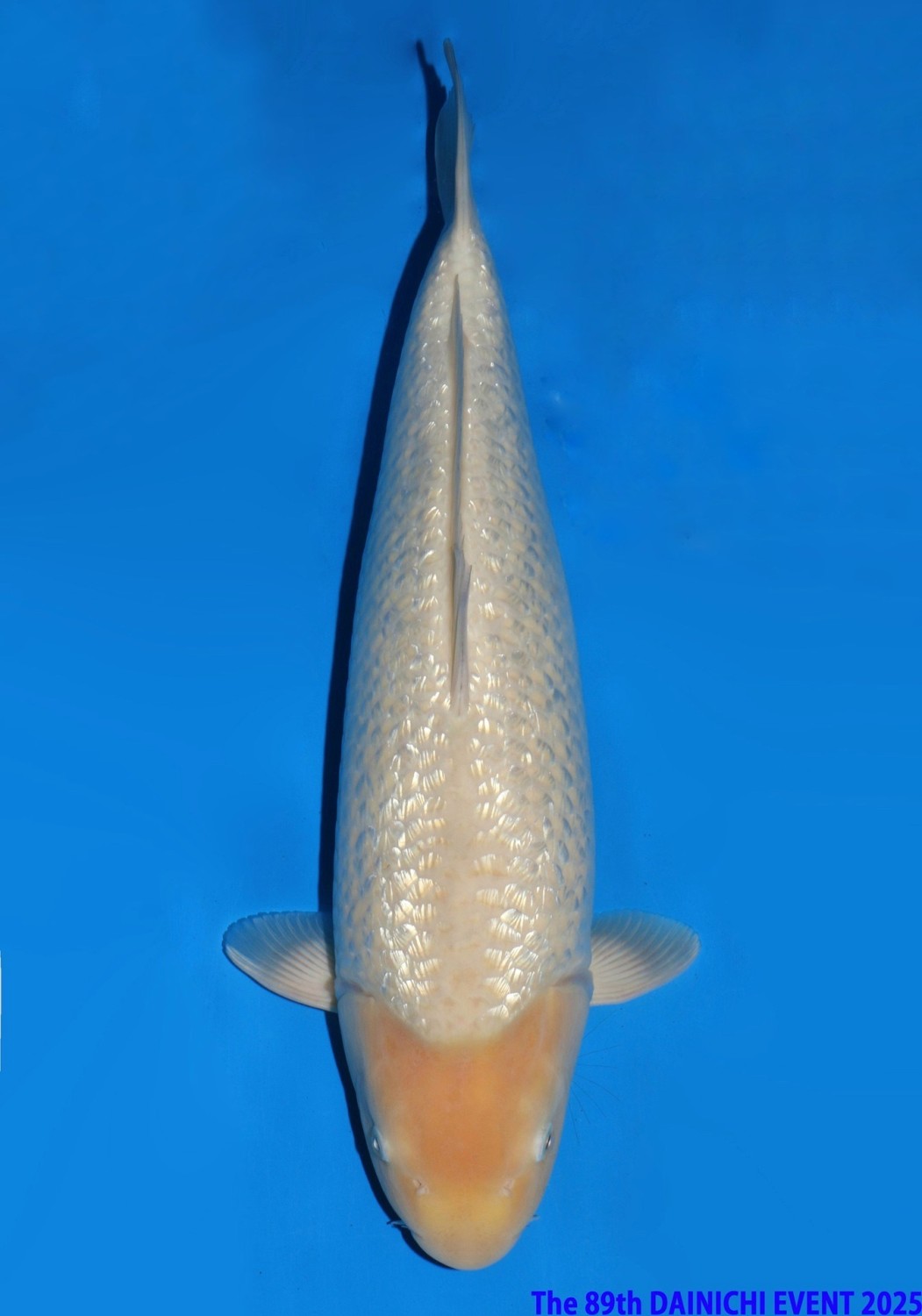 Juara 1