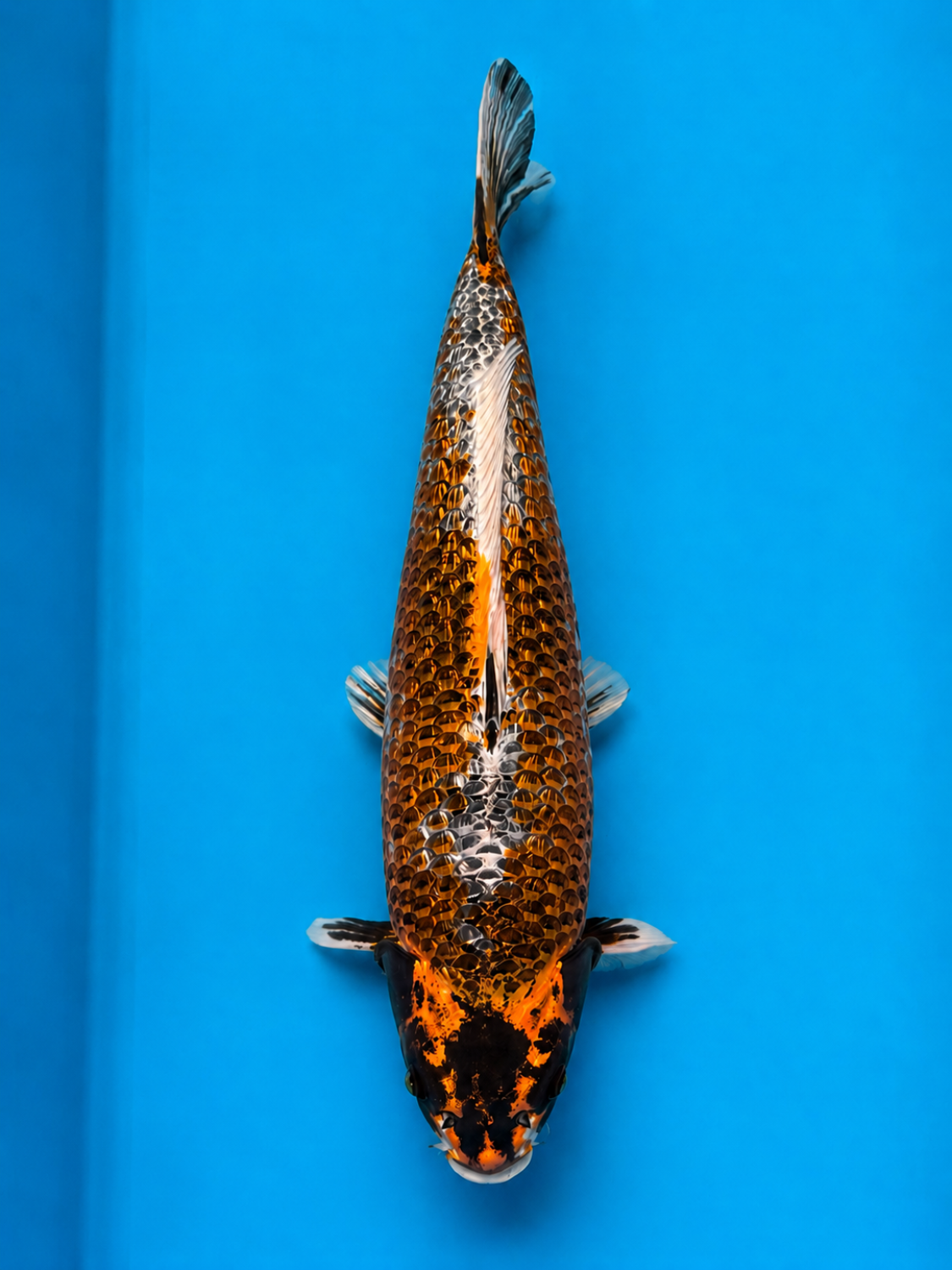 Juara 1