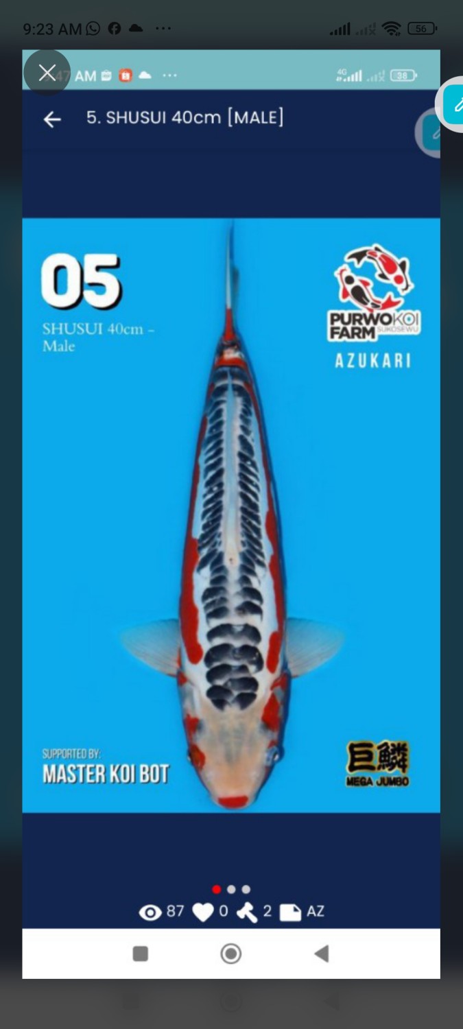 Juara 1