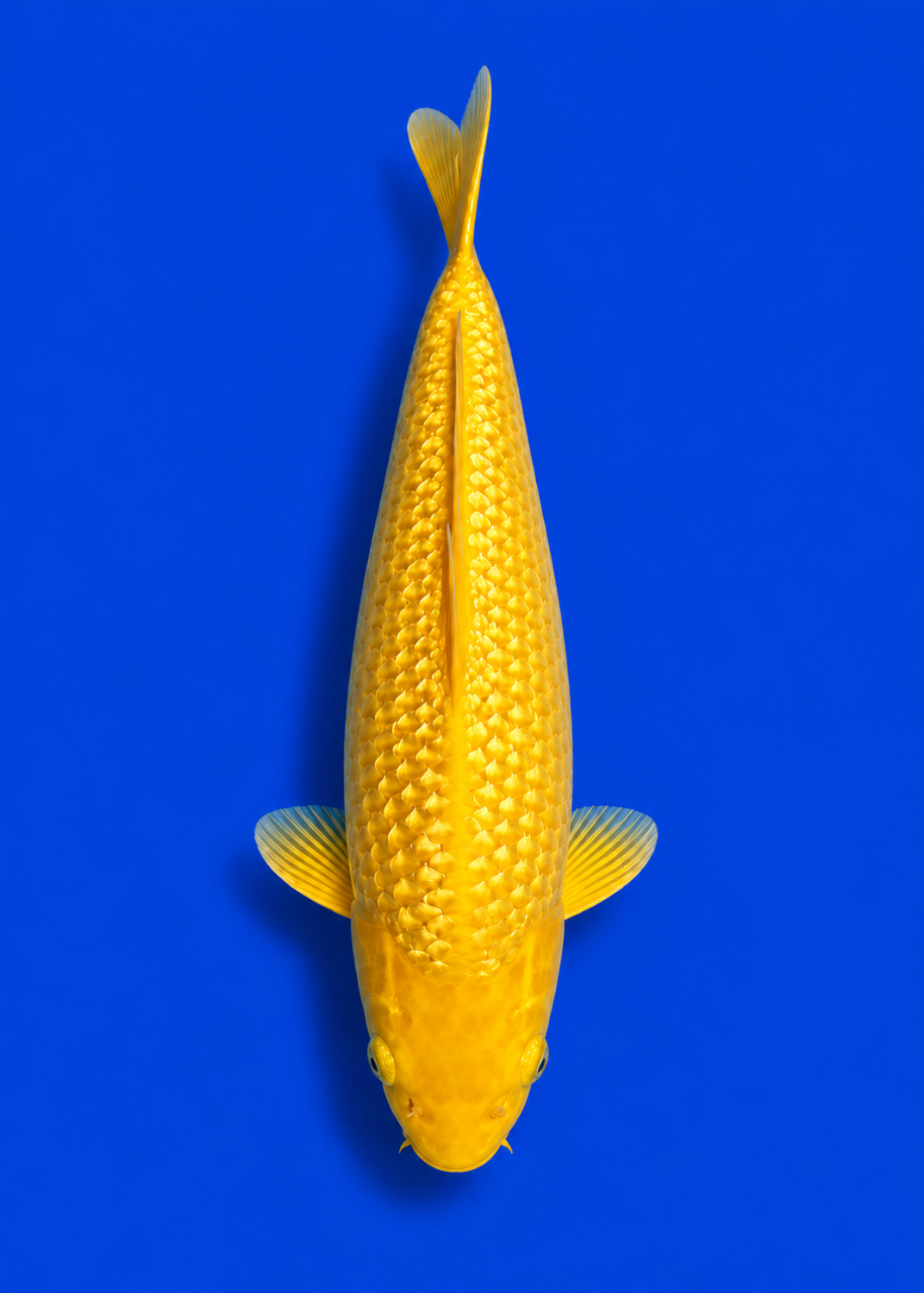 Best In Size E 21 - 25 cm